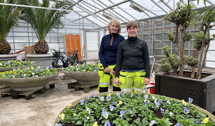 To kvinner ved stor potte med blomster