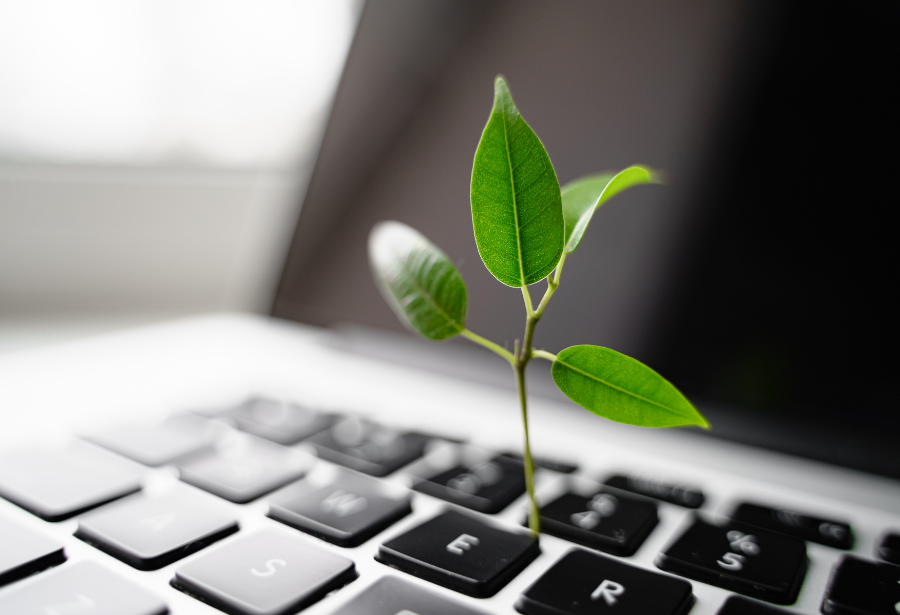 Datamaskin med blad som vokser opp av tastaturet